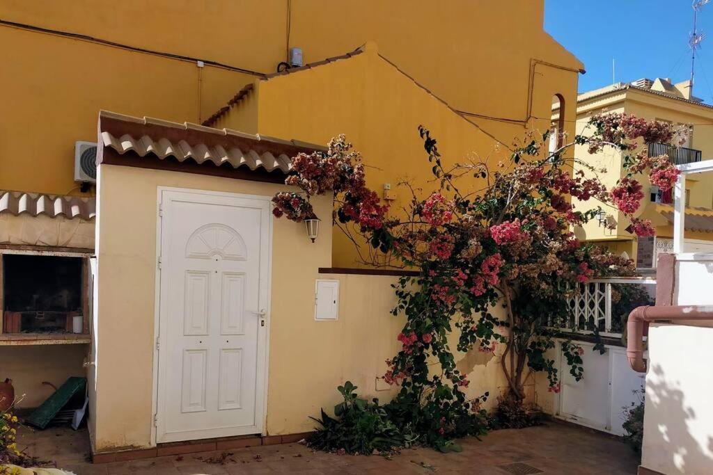 Ferienwohnung Mar Azul Adosado, Patio Y Solarium Torrevieja Exterior foto